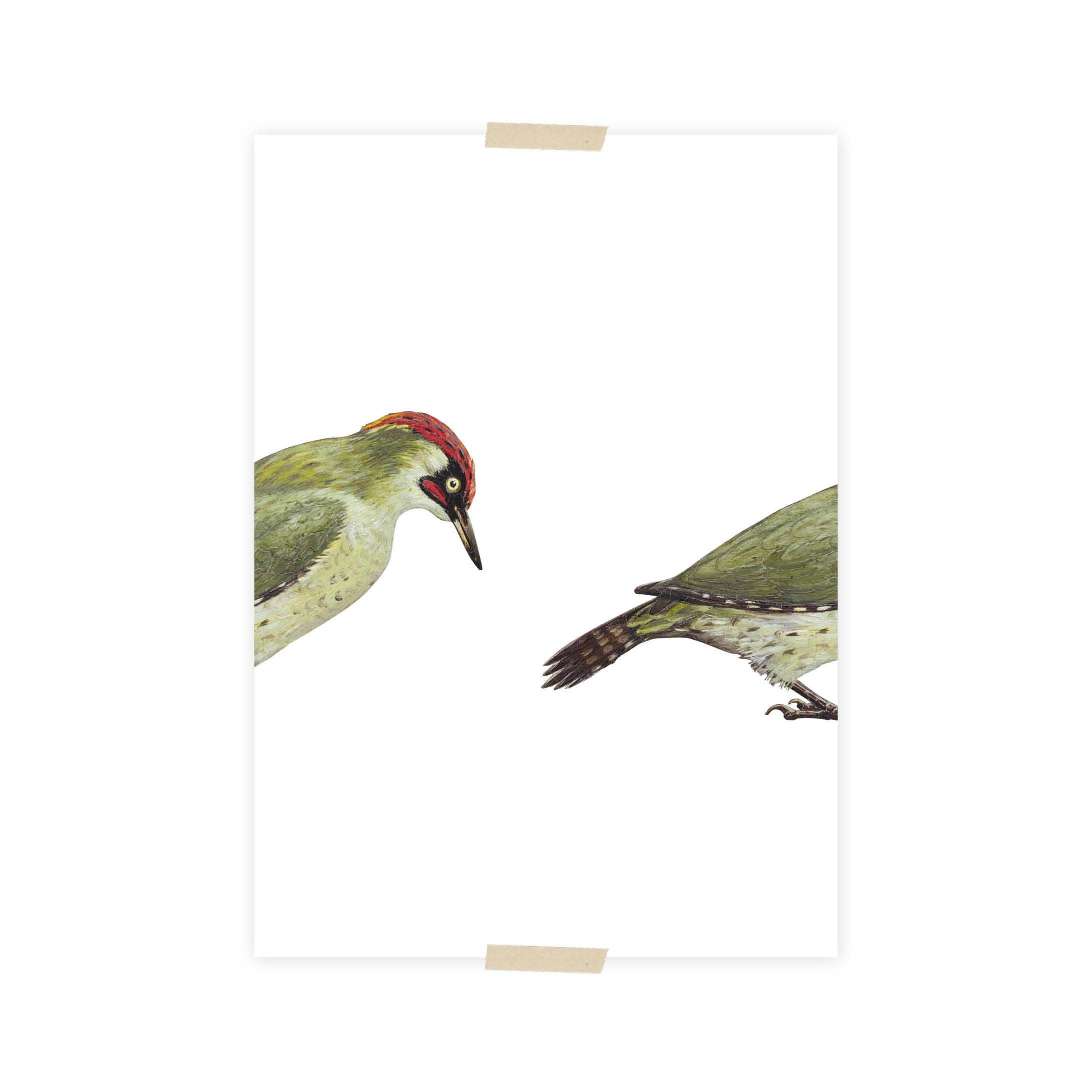 Postcard collage Zaans Museum - Specht
